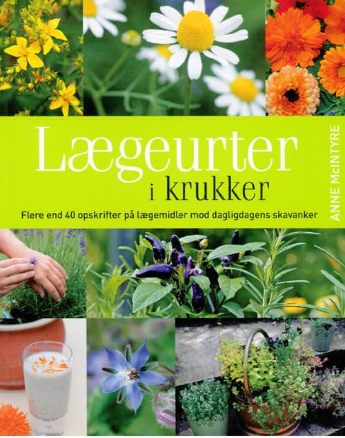 Lægeurter i krukker