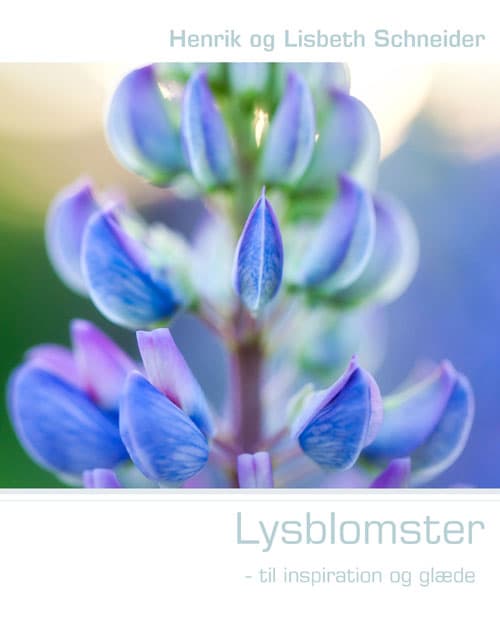 Lysblomster