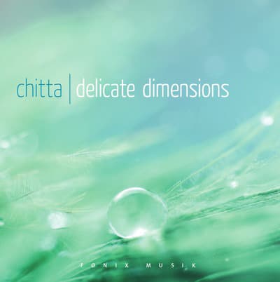 Delicate Dimensions - Fønix Musik