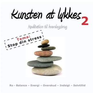 Kunsten at lykkes 2 ? STOP din stress!