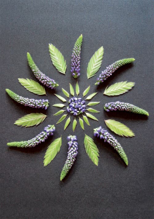 Postkort - Natur Mandala