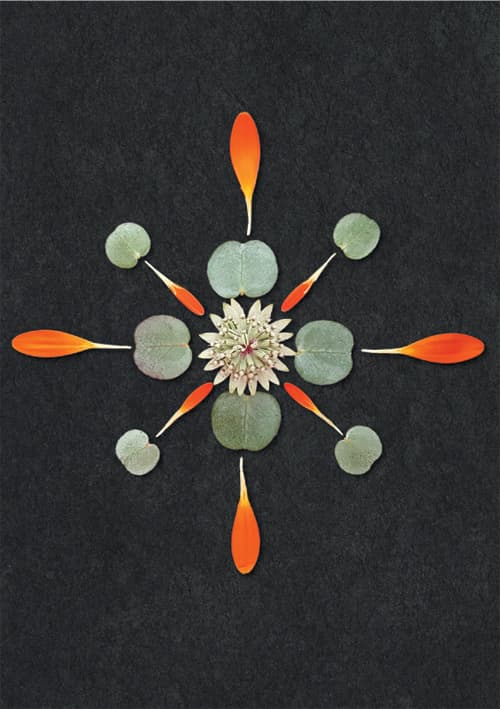 Postkort - Natur Mandala