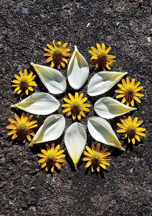 Postkort - Natur Mandala