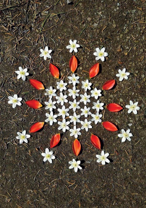 Postkort - Natur Mandala