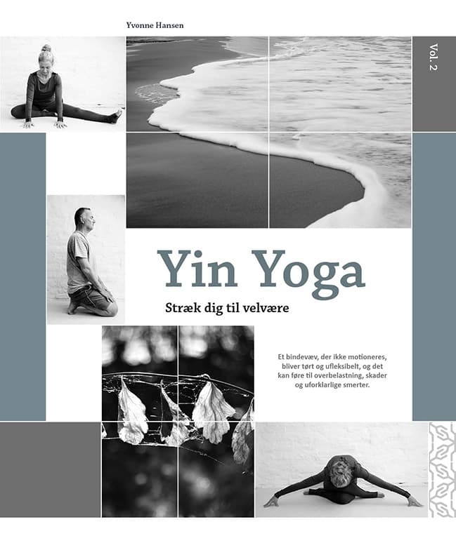 Yin Yoga vol 2