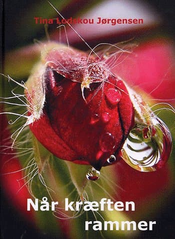 Når kræften rammer