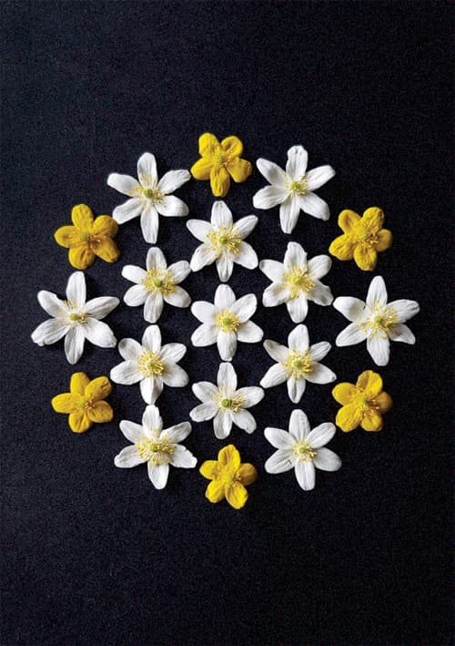 Postkort - Natur Mandala