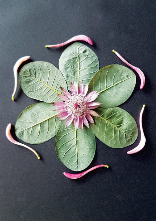 Postkort - Natur Mandala