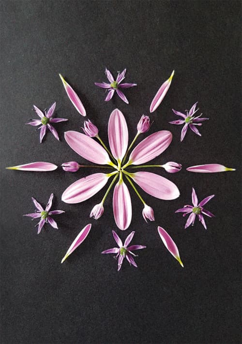 Postkort - Natur Mandala