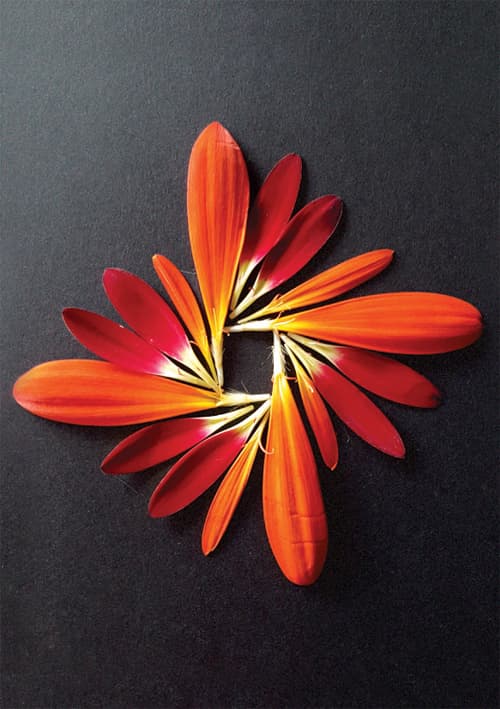 Postkort - Natur Mandala